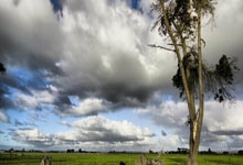 杨幂李易峰天涯论坛大事件，番1糖2误会交织成话题热聊！