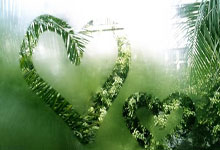 杨过爱恶作剧 郭襄自顾不暇